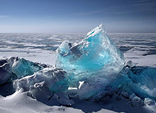 中国选手温瑞博战胜张本智和，晋级WTT重庆冠军赛男单决赛